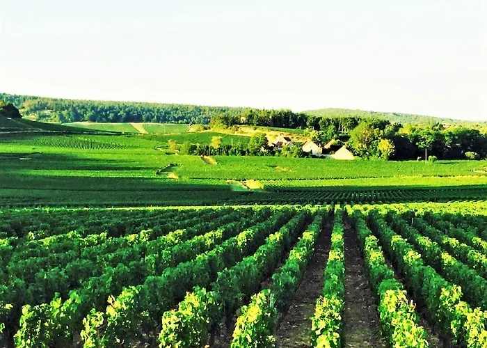 Domaine Pont Juillet